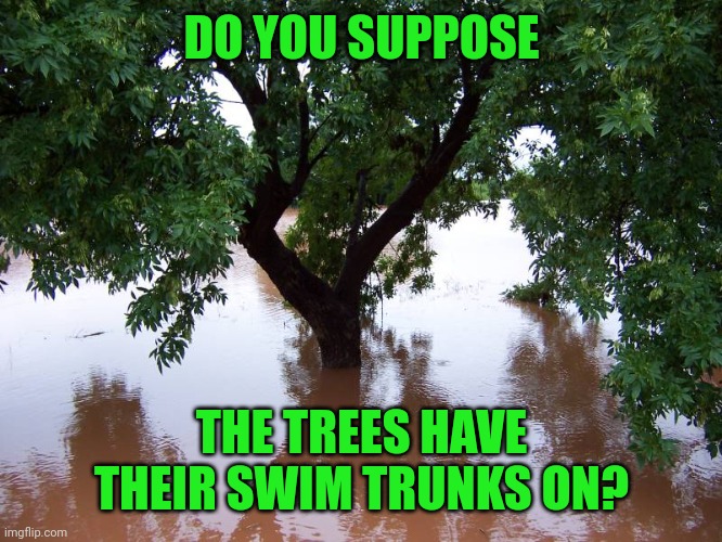 Flooded tree | DO YOU SUPPOSE; THE TREES HAVE THEIR SWIM TRUNKS ON? | image tagged in flooded tree | made w/ Imgflip meme maker
