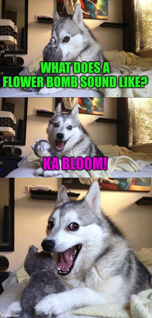 Bad Pun Dog | WHAT DOES A FLOWER BOMB SOUND LIKE? KA BLOOM! | image tagged in memes,bad pun dog | made w/ Imgflip meme maker