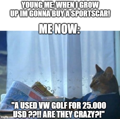 Man i just wanna afford a dam car! | YOUNG ME: WHEN I GROW UP IM GONNA BUY A SPORTSCAR! ME NOW:; "A USED VW GOLF FOR 25.000 USD ??!! ARE THEY CRAZY?!" | image tagged in memes,i should buy a boat cat,car,funny,money,dank memes | made w/ Imgflip meme maker