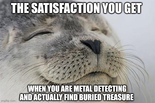 I just found buried treasure | THE SATISFACTION YOU GET; WHEN YOU ARE METAL DETECTING AND ACTUALLY FIND BURIED TREASURE | image tagged in memes,satisfied seal,jpfan102504 | made w/ Imgflip meme maker