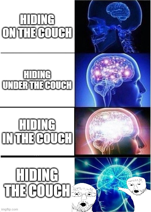 hiding with the couch | HIDING ON THE COUCH; HIDING UNDER THE COUCH; HIDING IN THE COUCH; HIDING THE COUCH | image tagged in memes,expanding brain | made w/ Imgflip meme maker
