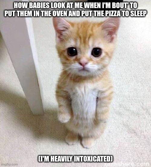 Cute Cat | HOW BABIES LOOK AT ME WHEN I'M BOUT' TO PUT THEM IN THE OVEN AND PUT THE PIZZA TO SLEEP; (I'M HEAVILY INTOXICATED) | image tagged in memes,cute cat,drunk,drunk baby,you're drunk | made w/ Imgflip meme maker