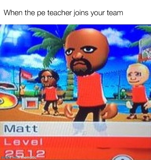 true | image tagged in wii sports | made w/ Imgflip meme maker