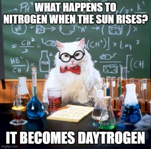 Chemistry Cat | WHAT HAPPENS TO NITROGEN WHEN THE SUN RISES? IT BECOMES DAYTROGEN | image tagged in memes,chemistry cat | made w/ Imgflip meme maker