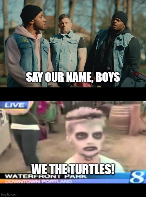 Gillis Gilly & Keeves Militia funeral turtles we the turtles | SAY OUR NAME, BOYS; WE THE TURTLES! | image tagged in turtles | made w/ Imgflip meme maker