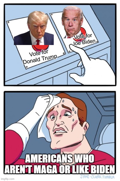 Tough decisions! | Vote for Joe Biden; Vote for Donald Trump; AMERICANS WHO AREN'T MAGA OR LIKE BIDEN | image tagged in memes,two buttons,american politics,joe biden,donald trump,america | made w/ Imgflip meme maker