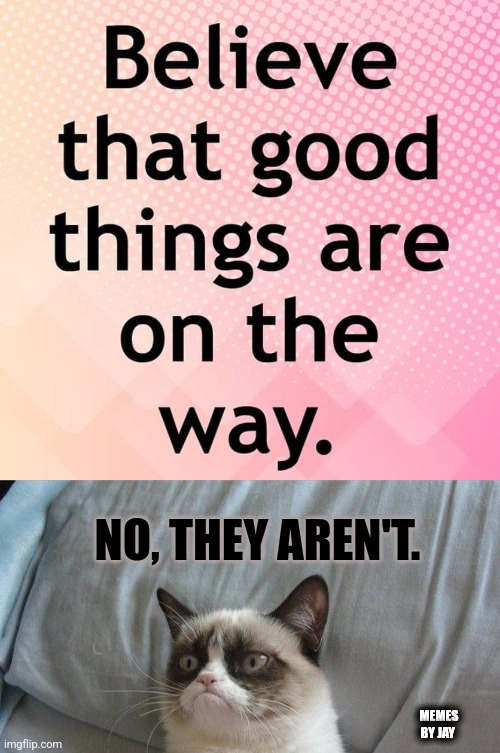 I love my humor. Don't you? | NO, THEY AREN'T. MEMES BY JAY | image tagged in hahaha,jokes,grumpy cat | made w/ Imgflip meme maker