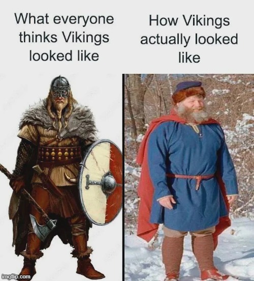 The truth hurts | image tagged in memes,funny,vikings,true | made w/ Imgflip meme maker