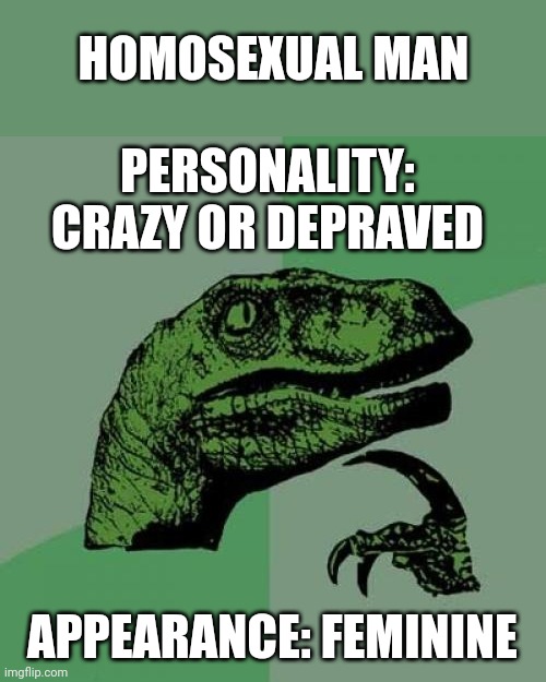 feminine | HOMOSEXUAL MAN; PERSONALITY: CRAZY OR DEPRAVED; APPEARANCE: FEMININE | image tagged in memes,philosoraptor | made w/ Imgflip meme maker
