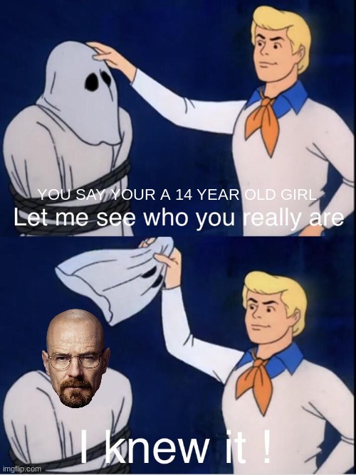 pov discord | YOU SAY YOUR A 14 YEAR OLD GIRL | image tagged in walter white,smells,like,drugs | made w/ Imgflip meme maker