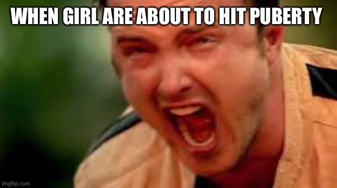 Girls When They | WHEN GIRL ARE ABOUT TO HIT PUBERTY | image tagged in guy screaming at somethinh | made w/ Imgflip meme maker
