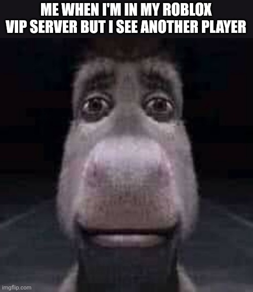 I would be very afraid if this happened | ME WHEN I'M IN MY ROBLOX VIP SERVER BUT I SEE ANOTHER PLAYER | image tagged in donkey staring,roblox,scared,hackers | made w/ Imgflip meme maker