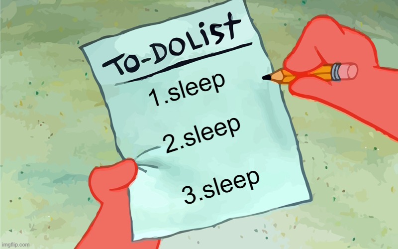 the usual routine | 1.sleep; 2.sleep; 3.sleep | image tagged in patrick to do list actually blank | made w/ Imgflip meme maker