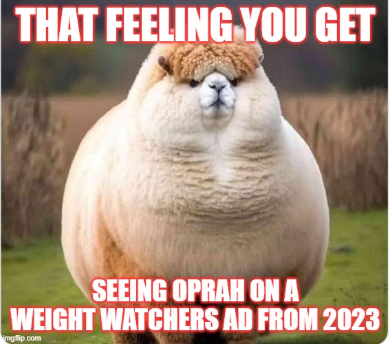 Fluffy Not Fat | THAT FEELING YOU GET; SEEING OPRAH ON A WEIGHT WATCHERS AD FROM 2023 | image tagged in oprah,weight watchers,ads,truth | made w/ Imgflip meme maker