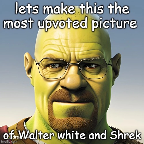 shrek and walter | lets make this the most upvoted picture; of Walter white and Shrek | image tagged in memes,lol so funny,shrek,walter white | made w/ Imgflip meme maker