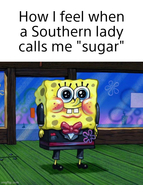 Why I love living in the south: | How I feel when a Southern lady calls me "sugar" | image tagged in memes,funny,funny memes,spongebob,southern | made w/ Imgflip meme maker