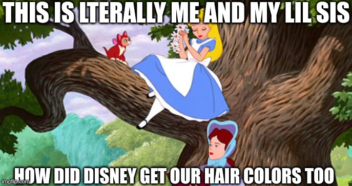 real | THIS IS LTERALLY ME AND MY LIL SIS; HOW DID DISNEY GET OUR HAIR COLORS TOO | image tagged in disney,alice in wonderland,sisters | made w/ Imgflip meme maker