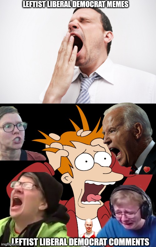 The left can't meme...or comment | LEFTIST LIBERAL DEMOCRAT MEMES; LEFTIST LIBERAL DEMOCRAT COMMENTS | image tagged in yawn,futurama fry screaming,leftists,liberals,democrats,bad memes | made w/ Imgflip meme maker