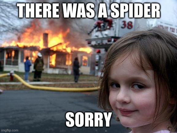Disaster Girl | THERE WAS A SPIDER; SORRY | image tagged in memes,disaster girl | made w/ Imgflip meme maker