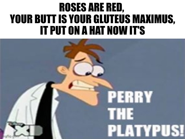 Rhyming meme | ROSES ARE RED, 
YOUR BUTT IS YOUR GLUTEUS MAXIMUS,
IT PUT ON A HAT NOW IT'S | image tagged in phineas and ferb,behold dr doofenshmirtz,rhymes | made w/ Imgflip meme maker