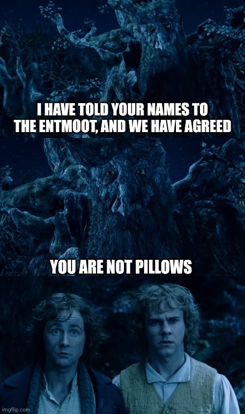 Ents: slow, but smarter than Nazgûl | I HAVE TOLD YOUR NAMES TO THE ENTMOOT, AND WE HAVE AGREED; YOU ARE NOT PILLOWS | image tagged in lotr,hobbits,pillows,entmoot,peregrin took,meriadoc brandybuck | made w/ Imgflip meme maker