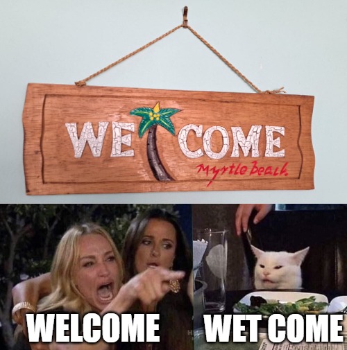 WELCOME; WET COME | image tagged in woman yelling at cat,meme,memes | made w/ Imgflip meme maker