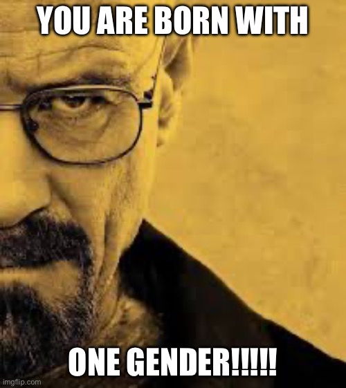 YOU ARE BORN WITH; ONE GENDER!!!!! | image tagged in walter white | made w/ Imgflip meme maker