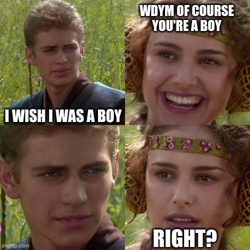 LGBTQ has me questioning the very basics | WDYM OF COURSE YOU'RE A BOY; I WISH I WAS A BOY; RIGHT? | image tagged in anakin padme 4 panel,transgender | made w/ Imgflip meme maker