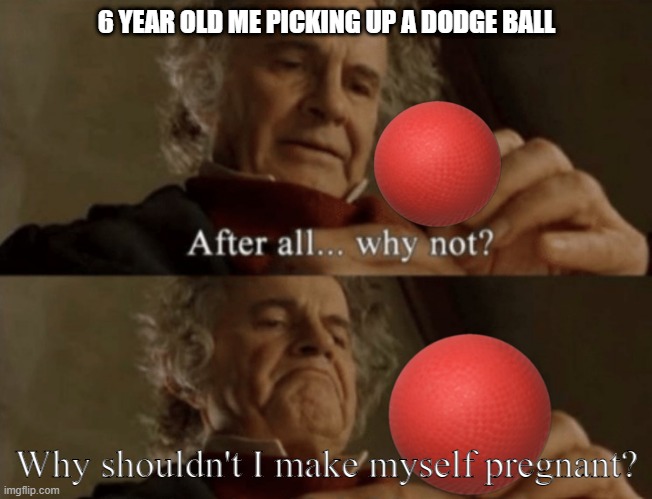 6yo me | 6 YEAR OLD ME PICKING UP A DODGE BALL; Why shouldn't I make myself pregnant? | image tagged in after all why not,sports,dodgeball | made w/ Imgflip meme maker
