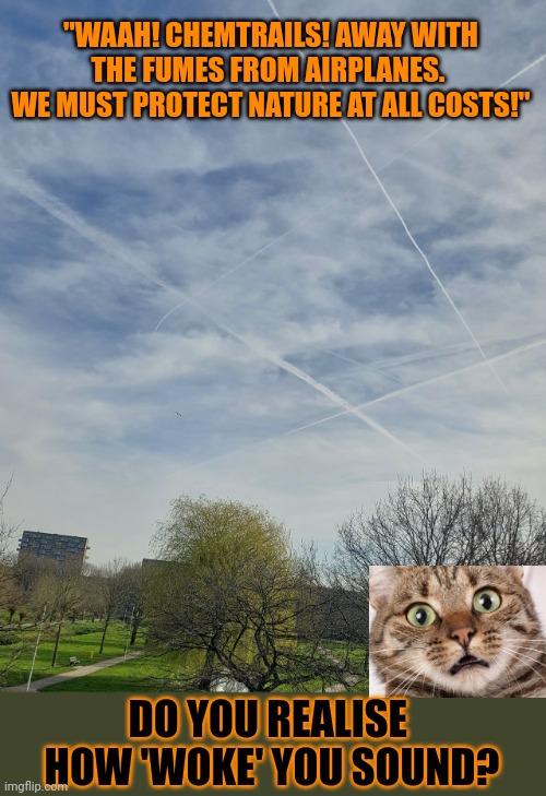This #lolcat wonders why wappies often sound woke | "WAAH! CHEMTRAILS! AWAY WITH THE FUMES FROM AIRPLANES. 
WE MUST PROTECT NATURE AT ALL COSTS!"; DO YOU REALISE 
HOW 'WOKE' YOU SOUND? | image tagged in woke,wappies,lolcat,chemtrails,stupid people | made w/ Imgflip meme maker