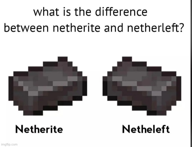 what’s the difference | image tagged in memes,funny,think about it,netherite vs netherleft,minecraft,gaming | made w/ Imgflip meme maker