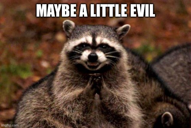 MAYBE A LITTLE EVIL | image tagged in memes,evil plotting raccoon | made w/ Imgflip meme maker