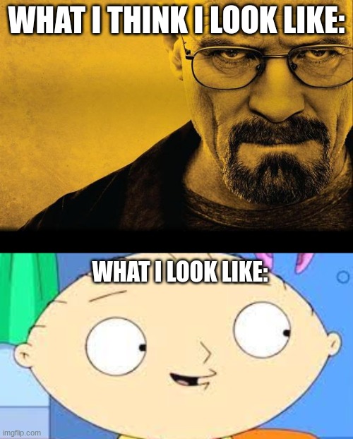Stewie White | WHAT I THINK I LOOK LIKE:; WHAT I LOOK LIKE: | image tagged in breaking bad | made w/ Imgflip meme maker