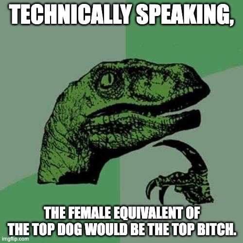Philosoraptor | TECHNICALLY SPEAKING, THE FEMALE EQUIVALENT OF THE TOP DOG WOULD BE THE TOP BITCH. | image tagged in memes,philosoraptor,top bitch,top dog,funny,dog | made w/ Imgflip meme maker