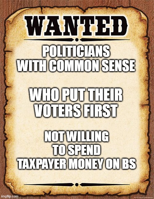 Wanted: Politicians with common sense | POLITICIANS WITH COMMON SENSE; WHO PUT THEIR VOTERS FIRST; NOT WILLING TO SPEND TAXPAYER MONEY ON BS | image tagged in wanted poster,politicians,politics,voters,taxpayer | made w/ Imgflip meme maker