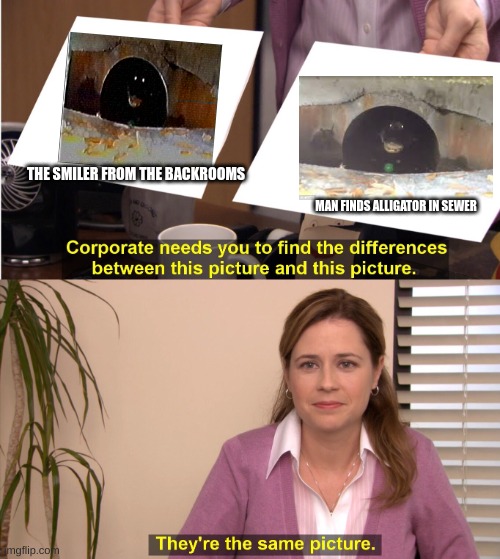 Smiler vs Sewer gator | THE SMILER FROM THE BACKROOMS; MAN FINDS ALLIGATOR IN SEWER | image tagged in memes,they're the same picture | made w/ Imgflip meme maker