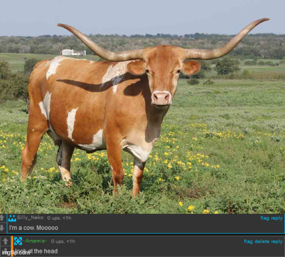 image tagged in longhorn cattle | made w/ Imgflip meme maker