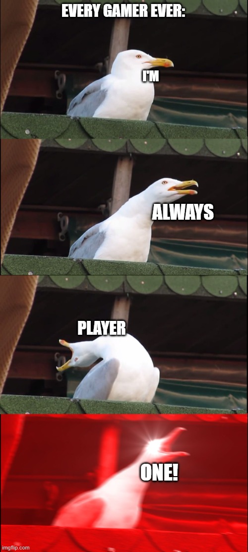 like i get it but bro chill | EVERY GAMER EVER:; I'M; ALWAYS; PLAYER; ONE! | image tagged in memes,inhaling seagull | made w/ Imgflip meme maker