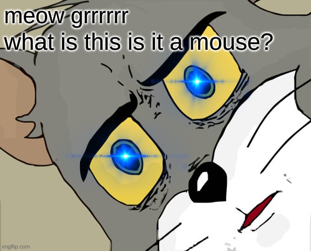 Unsettled Tom | meow grrrrrr; what is this is it a mouse? | image tagged in memes,unsettled tom | made w/ Imgflip meme maker