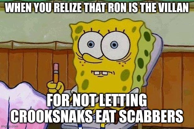Oh Crap?! | WHEN YOU RELIZE THAT RON IS THE VILLAN; FOR NOT LETTING CROOKSNAKS EAT SCABBERS | image tagged in harry potter,ron weasley,villain | made w/ Imgflip meme maker