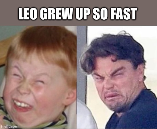 Leonardo Dicaprio sarcastic laughing kid meme | LEO GREW UP SO FAST | image tagged in leo,leonardo,dicaprio,sarcastic,laughing,kid | made w/ Imgflip meme maker