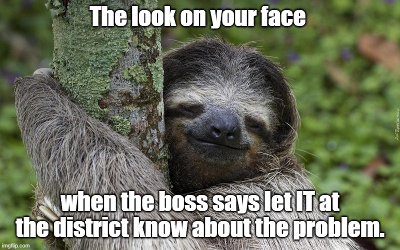 smiling sloth | The look on your face; when the boss says let IT at the district know about the problem. | image tagged in it,the bosses | made w/ Imgflip meme maker