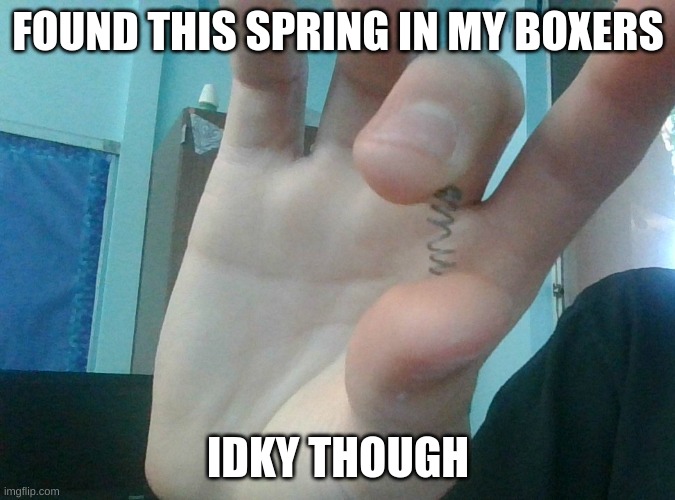 Spring in my pants why idk | FOUND THIS SPRING IN MY BOXERS; IDKY THOUGH | image tagged in spring,memes,not really,funny,idk | made w/ Imgflip meme maker