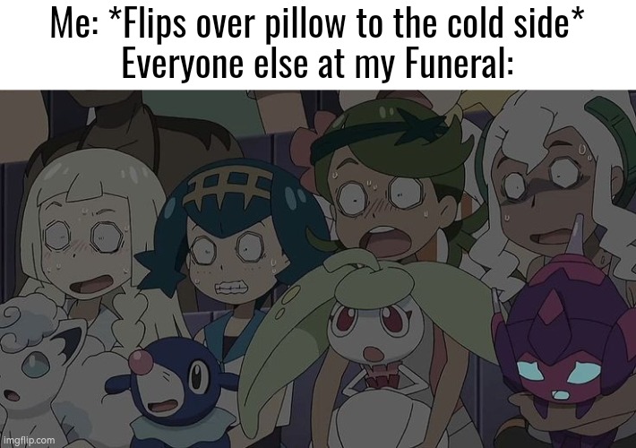 Wait Wut? | Me: *Flips over pillow to the cold side*
Everyone else at my Funeral: | image tagged in funny,funeral,me everyone else | made w/ Imgflip meme maker