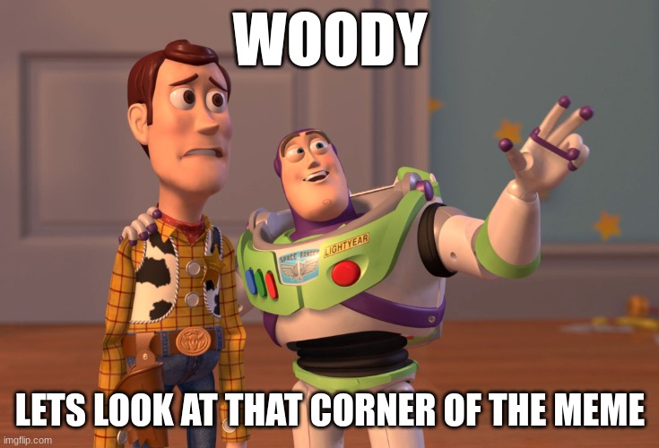 Nice corner | WOODY; LETS LOOK AT THAT CORNER OF THE MEME | image tagged in memes,x x everywhere | made w/ Imgflip meme maker