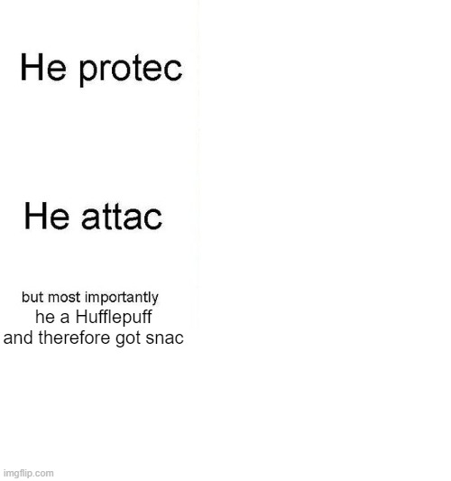 Sorry I'm 2 lazy 2 add pictures but u all know who it is | he a Hufflepuff and therefore got snac | image tagged in he protec | made w/ Imgflip meme maker