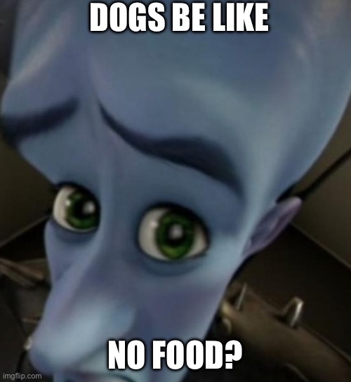 Dog owners this is relatable | DOGS BE LIKE; NO FOOD? | image tagged in megamind no bitches,dogs | made w/ Imgflip meme maker