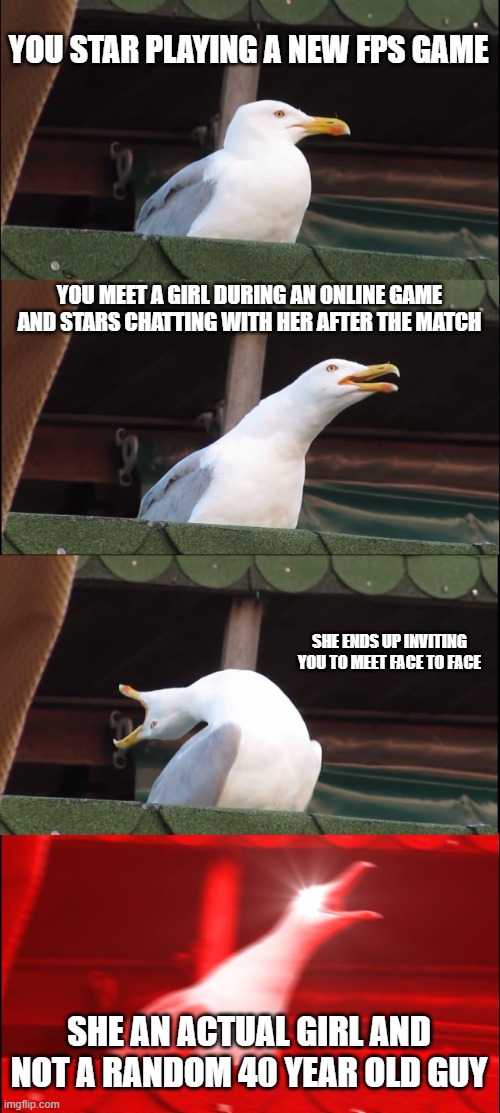 The average male gamer expectation | YOU STAR PLAYING A NEW FPS GAME; YOU MEET A GIRL DURING AN ONLINE GAME AND STARS CHATTING WITH HER AFTER THE MATCH; SHE ENDS UP INVITING YOU TO MEET FACE TO FACE; SHE AN ACTUAL GIRL AND NOT A RANDOM 40 YEAR OLD GUY | image tagged in memes,inhaling seagull | made w/ Imgflip meme maker