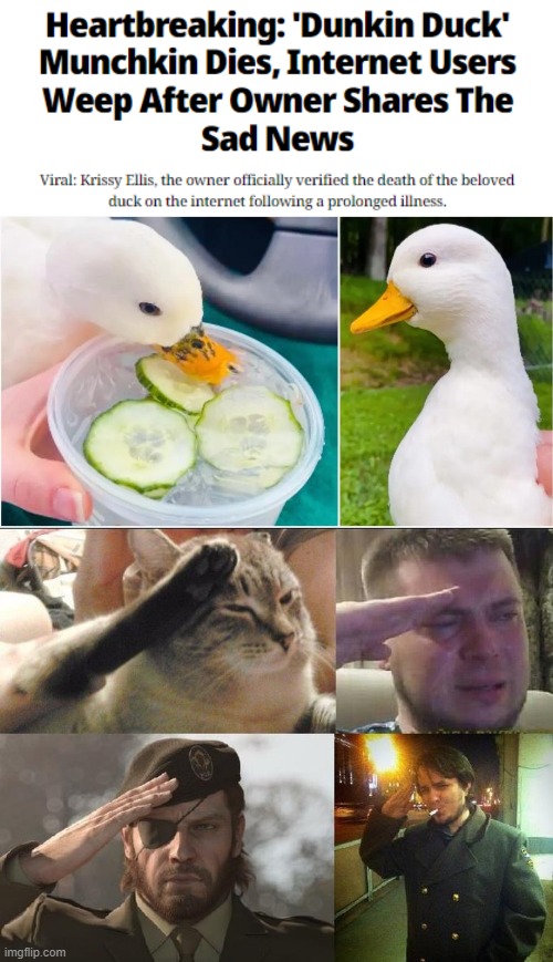 rest in peace munchkin | image tagged in ozon's salute,ducks,memes,dunkin ducks | made w/ Imgflip meme maker