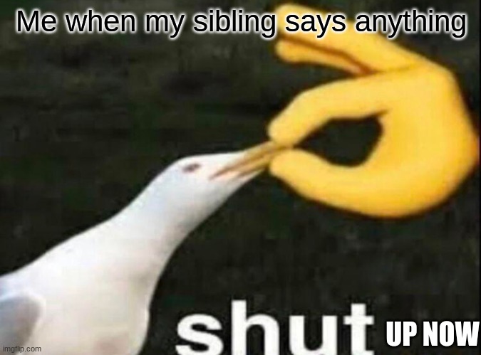 SHUT | Me when my sibling says anything; UP NOW | image tagged in shut,siblings | made w/ Imgflip meme maker